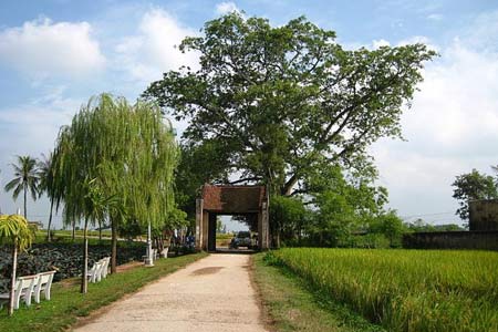 Duong Lam ancient villages 1