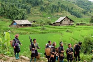 Sapa Unique Experience Package